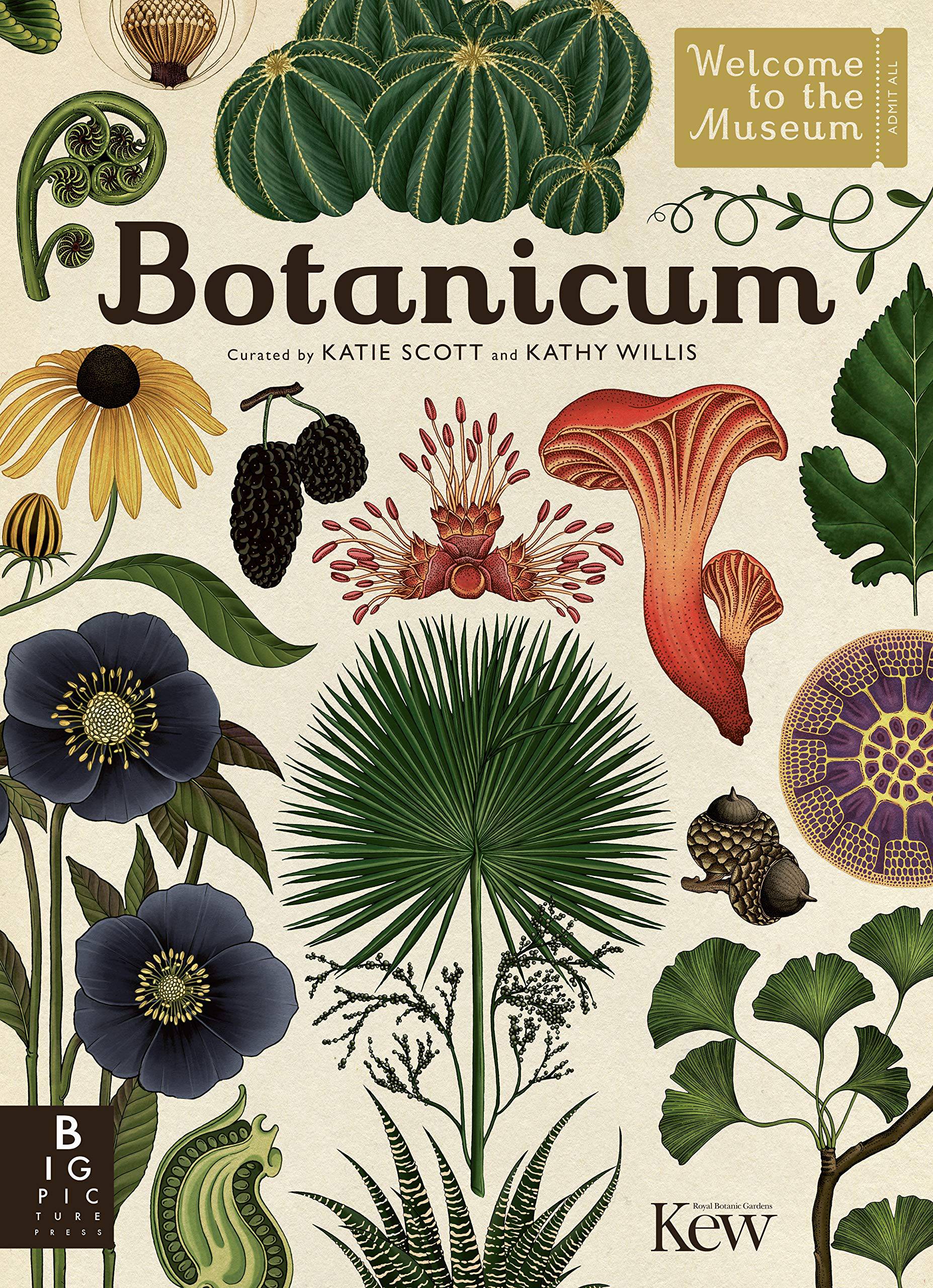 Botanicum by Katie Scott and Kathy Willis
