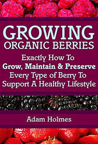 Growing organic berries by Adam Holmes